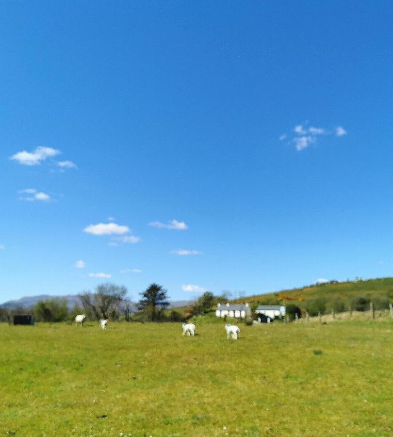 New Listing - Ladybird Cottage - Donegal - Wild Atlantic Way Donegal Town Esterno foto