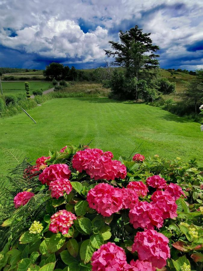 New Listing - Ladybird Cottage - Donegal - Wild Atlantic Way Donegal Town Esterno foto