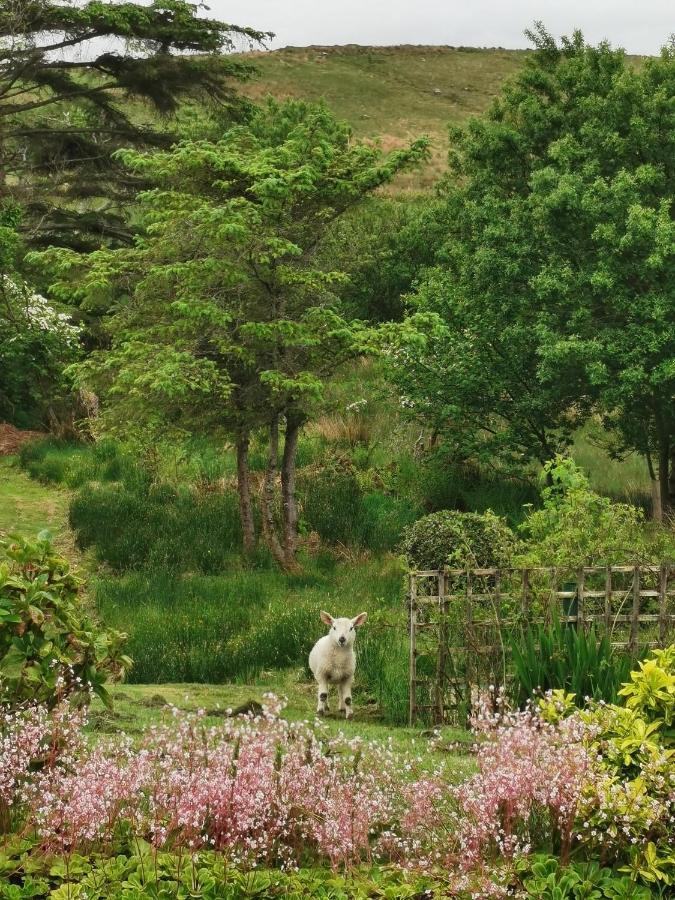 New Listing - Ladybird Cottage - Donegal - Wild Atlantic Way Donegal Town Esterno foto